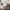 [Pre-Sale] 53" Round Marble-Pattern Glass Table with Lazy Susan & Petal Base