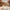 Arlo 43" Round Dining Table for 4 with Wooden Pedestal Base