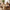 Arlo 43" Round Dining Table for 4 with Wooden Pedestal Base