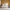 Tareya King Upholstered Bed Frame with 4 Storage Drawers, Beige