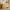 Galileo 63" Sideboard Buffet Cabinet with 4 Doors, Large Credenza Sideboard, Natural Oak