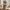 Arlo 43" Round Dining Table for 4 with Wooden Pedestal Base