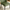 2-Pack Green PVC Dining Chairs with Fine Wave Stitch Detailing