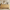 Galileo 63" Sideboard Buffet Cabinet with 4 Doors, Large Credenza Sideboard, Natural Oak