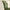 2-Pack Green PVC Dining Chairs with Fine Wave Stitch Detailing