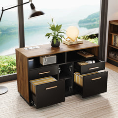 Black and wood office desk with several drawers pulled open, a lamp, plant, books, and folders