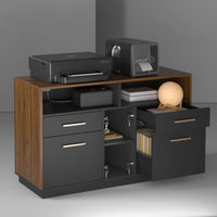 Soren Walnut Storage Cabinet