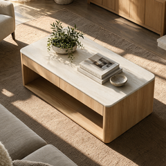 A light wood coffee table with a pale stone top sits on a textured rug, holding a potted plant, stacked books, and a small bowl.