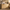 52.8 Natural Wood Rounded 6 Drawer Dresser 02 Main