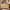 52.8 Natural Wood Rounded 6 Drawer Dresser 03 Main
