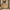 52.8 Natural Wood Rounded 6 Drawer Dresser 04 Main