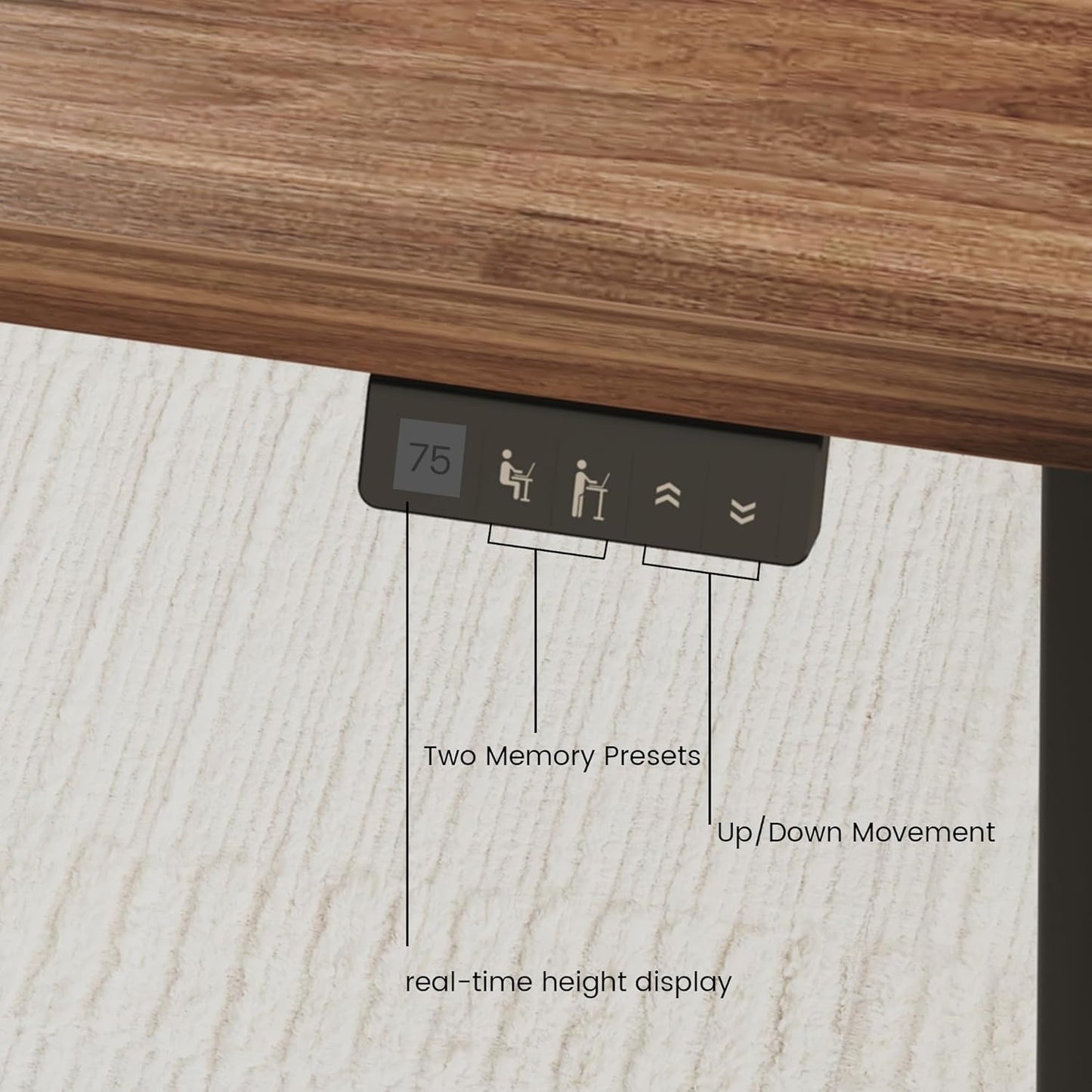 Soren 47" Electric Height-Adjustable Executive Desk, Black Walnut