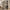 Caly 74.1" Fluted Tall Bookcase with Doors, 6 Tier Bookshelf