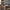 55" Computer Desk 2-in-1 Convertible Gaming & Dining Table Black Walnut
