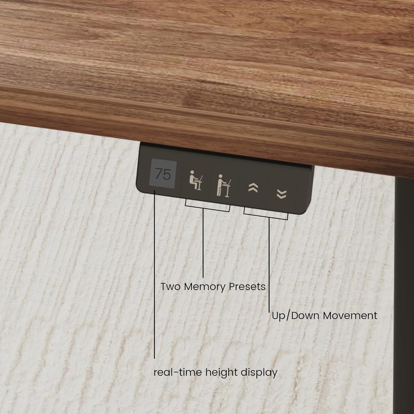 47" Electric Standing Desk with Tall Storage Cabinet, Black Walnut