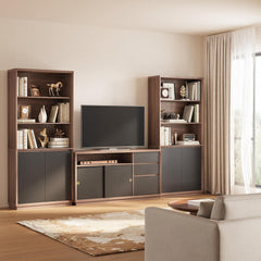 A television sits between two tall bookcases above a low media cabinet in a living room, with books and decorative objects on the shelves.