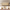 63" 9-Drawer Dresser with Thick Top and Round Legs