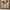 Caly Modern 53.2" 6 Drawer Dresser, Fluted Wood Storage Cabinet