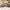 Caly 53.2"  Fluted Wood 6 Drawer Dresser with Open Shelf