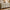 Caly  64.2" Modern Fluted 9 Drawer Dresser Clothes Storage Cabinet