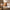 Double Layer Mohair Dining Chairs Set of 2, Coffee
