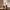 U Base Chenille Dining Chairs Set of 2,Light Coffee