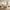 Travertine 54" 6-Drawer Chest of Drawers, Gray