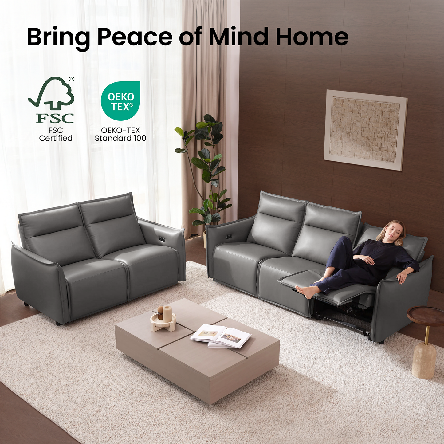 Frame Power Reclining Sofa Set with Zero Gravity & USB-C, Grey