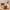 Cloud Modular Sofa - Terracotta Red Chenille Armless Lounge Chair, 31.7 Wide
