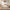 Elara Queen Lift-Up Storage Bed Frame with Adjustable Headboard, Beige