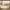 Freya King Upholstered Storage Bed Frame with 4 Drawers, Sandstone Beige