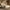 Freya Queen Upholstered Storage Bed Frame with 4 Drawers, Sandstone Beige