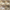 Freya King Upholstered Storage Bed Frame with 4 Drawers, Sandstone Beige