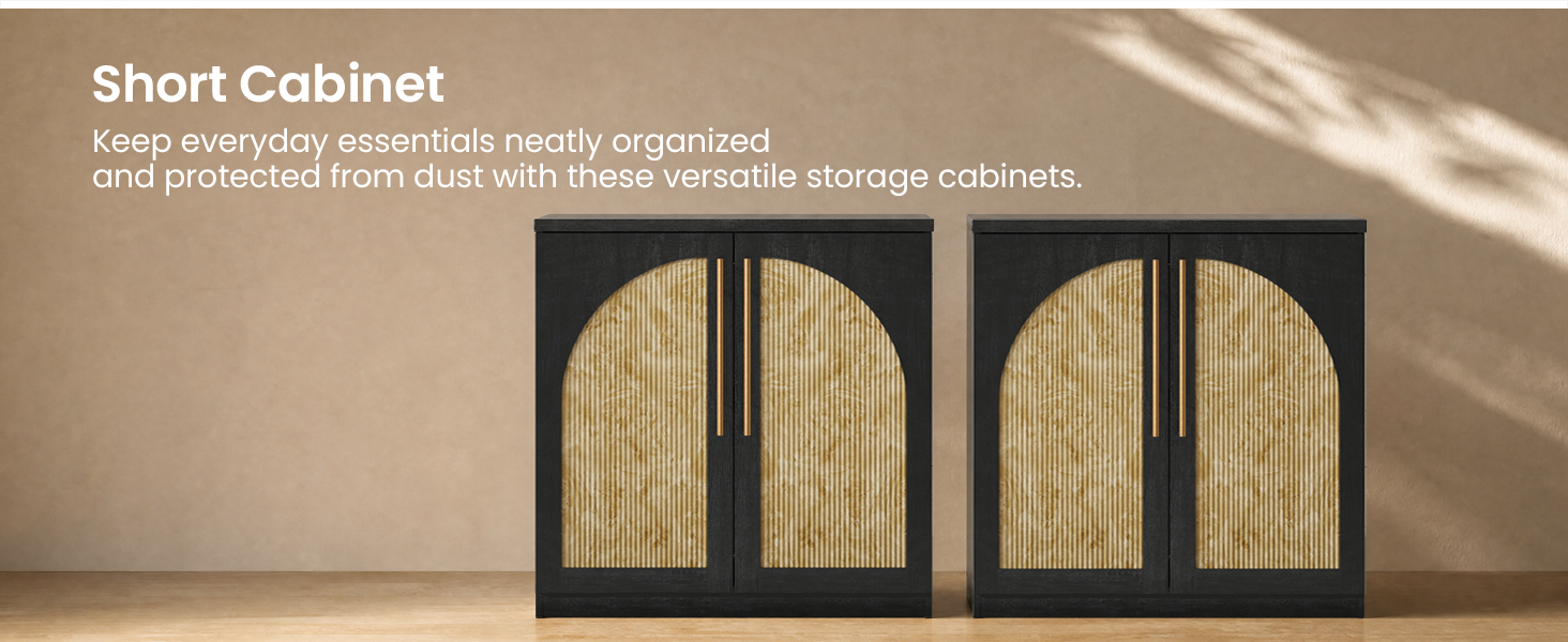 SHORT CABINET