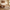 Queen Size Upholstered Platform Bed Frame – Boucle Wingback Headboard