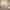 Queen Size Upholstered Platform Bed Frame – Boucle Wingback Headboard