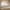 Queen Size Upholstered Platform Bed Frame – Boucle Wingback Headboard