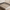 Queen Size Upholstered Platform Bed Frame – Boucle Wingback Headboard