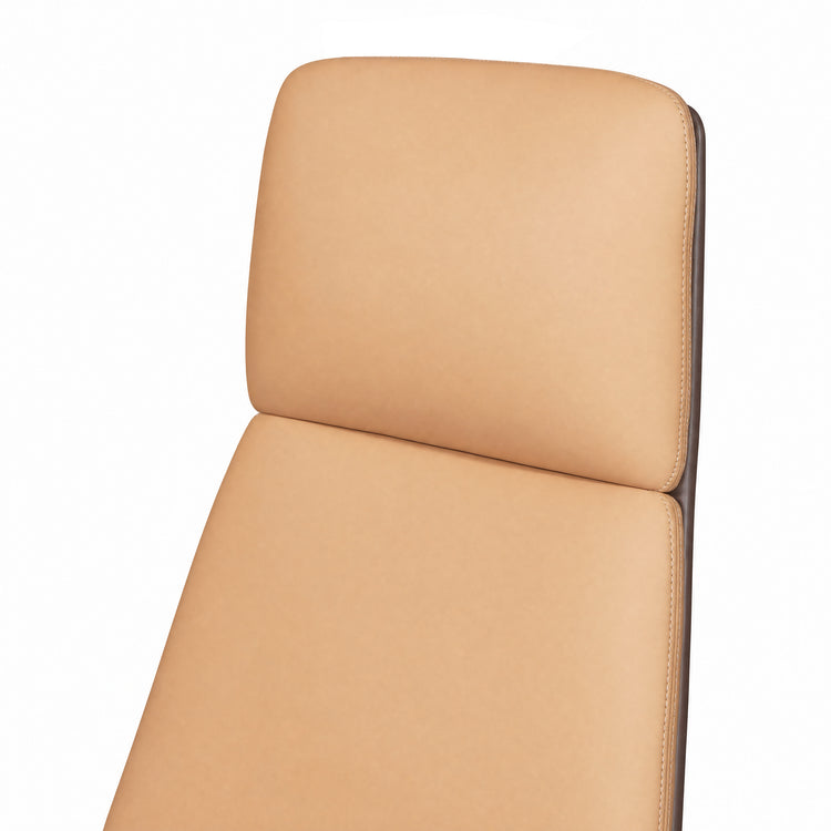 Close-up of a tan chair back with two padded sections, rounded corners, visible edge stitching and a dark brown outer frame.