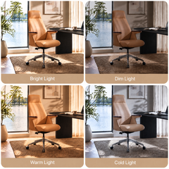 Four panels show a tan high-back office chair with armrests and a wheeled base beside a desk, under lighting labeled Bright Light, Dim Light, Warm Light and Cold Light.