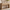ModernMate 59" Console Table with 2 Drawers, Narrow Entryway Sofa Table with Rounded Corners for Living Room, Modern Organic Entrance, Foyer, Natural Oak