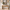 ModernMate 59" Console Table with 2 Drawers, Narrow Entryway Sofa Table with Rounded Corners for Living Room, Modern Organic Entrance, Foyer, Natural Oak