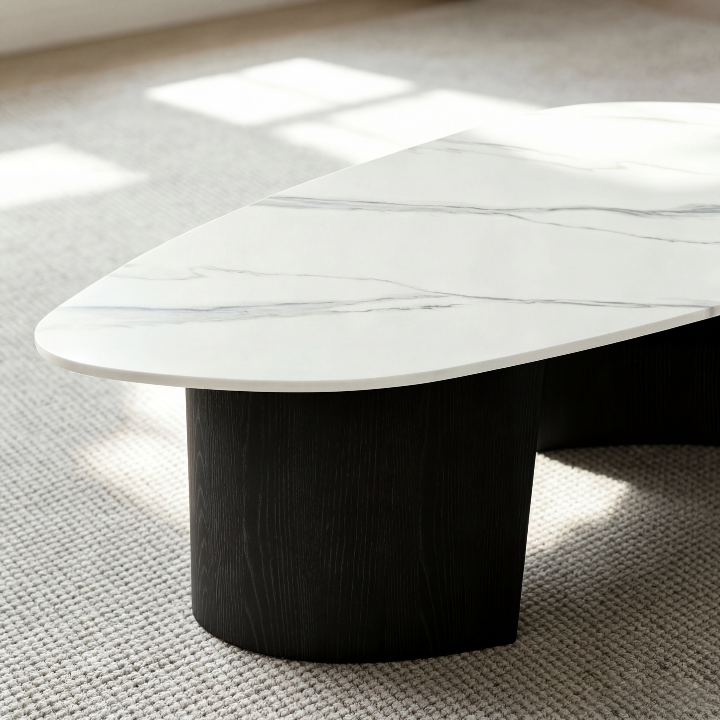 [Pre-Sale] Modern Oval Sintered Stone Coffee Table with Curved Black Ash Veneer Base