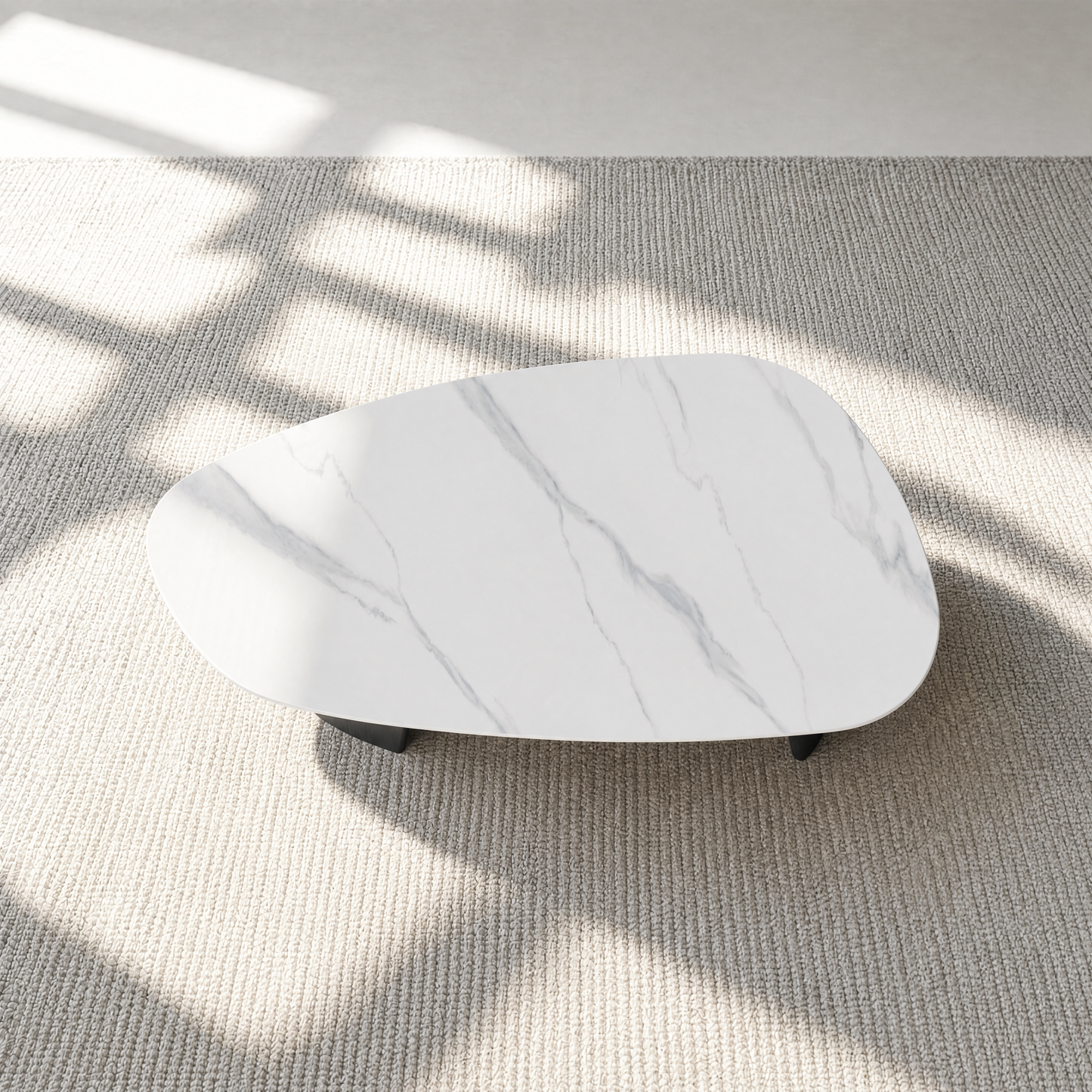 [Pre-Sale] Modern Oval Sintered Stone Coffee Table with Curved Black Ash Veneer Base