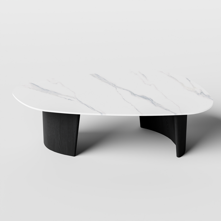 [Pre-Sale] Modern Oval Sintered Stone Coffee Table with Curved Black Ash Veneer Base