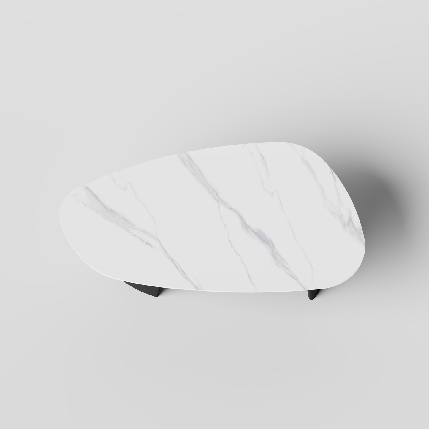 [Pre-Sale] Modern Oval Sintered Stone Coffee Table with Curved Black Ash Veneer Base