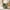 Modern Italian Curved Swivel Accent Chair, Olive Green Chenille Hugging Barrel Chair Main