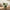 Modern Italian Curved Swivel Accent Chair, Olive Green Chenille Hugging Barrel Chair Main