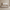 Queen Size Upholstered Platform Bed with Wood Frame – Curved Boucle Headboard