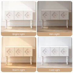 Panels label bright, dim, warm, and cold lighting conditions